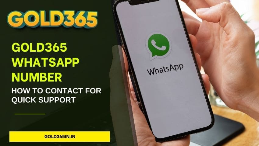 You are currently viewing Gold365 WhatsApp Number: How to Contact for Quick Support